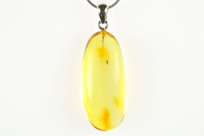 Polished Baltic Amber Pendant (Necklace) - Contains Fly! #275732